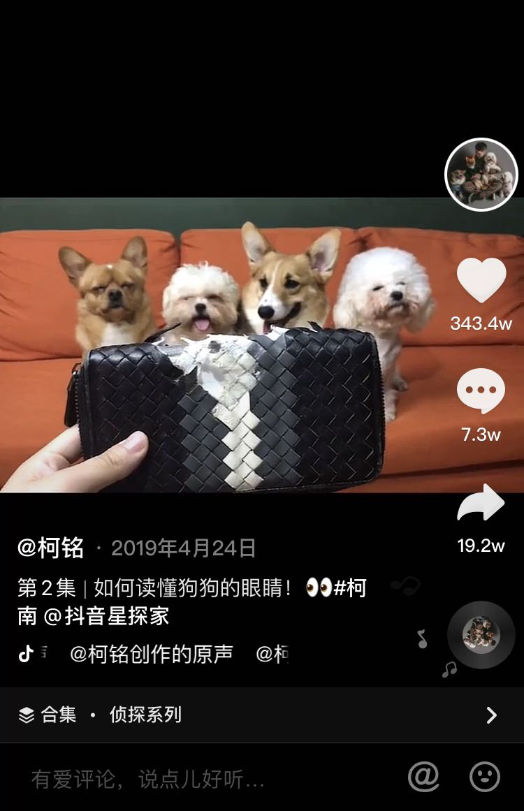 猫猫狗狗都能直播带货,MCN机构到底有多内卷?休闲区蓝鸢梦想 - Www.slyday.coM 猫猫狗狗都能直播带货,MCN机构到底有多内卷?休闲区蓝鸢梦想 - Www.slyday.coM