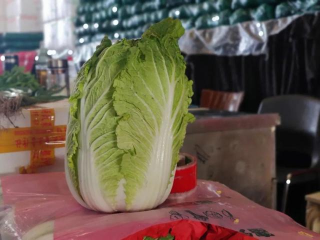 大白菜最初的低价位主要是因为:产区货源偏多,加上兰州产区今年娃娃