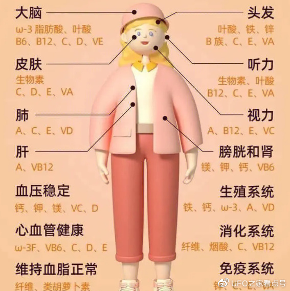 入侵中国的水葫芦, 如今都去哪了? 网友: 中国人的智慧!休闲区蓝鸢梦想 - Www.slyday.coM 入侵中国的水葫芦, 如今都去哪了? 网友: 中国人的智慧!休闲区蓝鸢梦想 - Www.slyday.coM