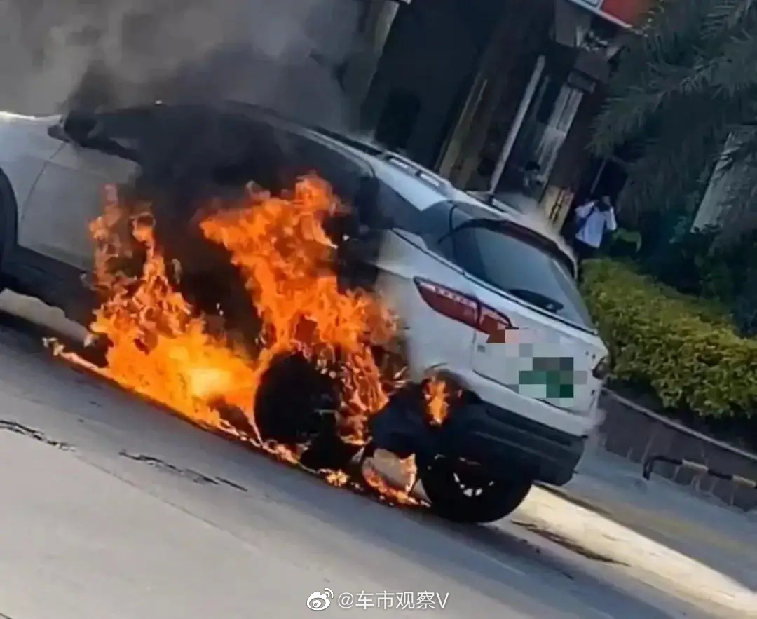 1月3日下午2时许，莆田市区西洪北街祥荣荔树湾小区路段…………