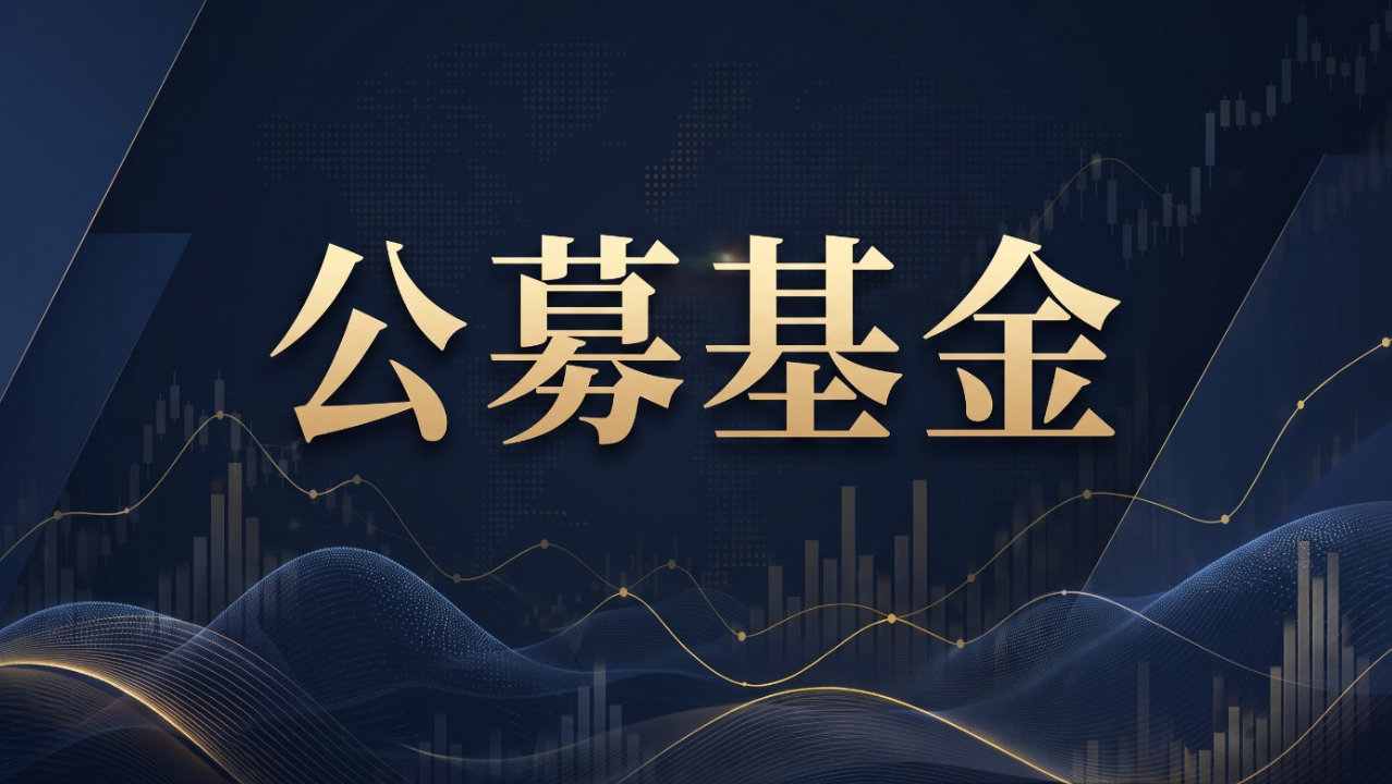 7月深度回撤后，这些基金何以强势反弹？