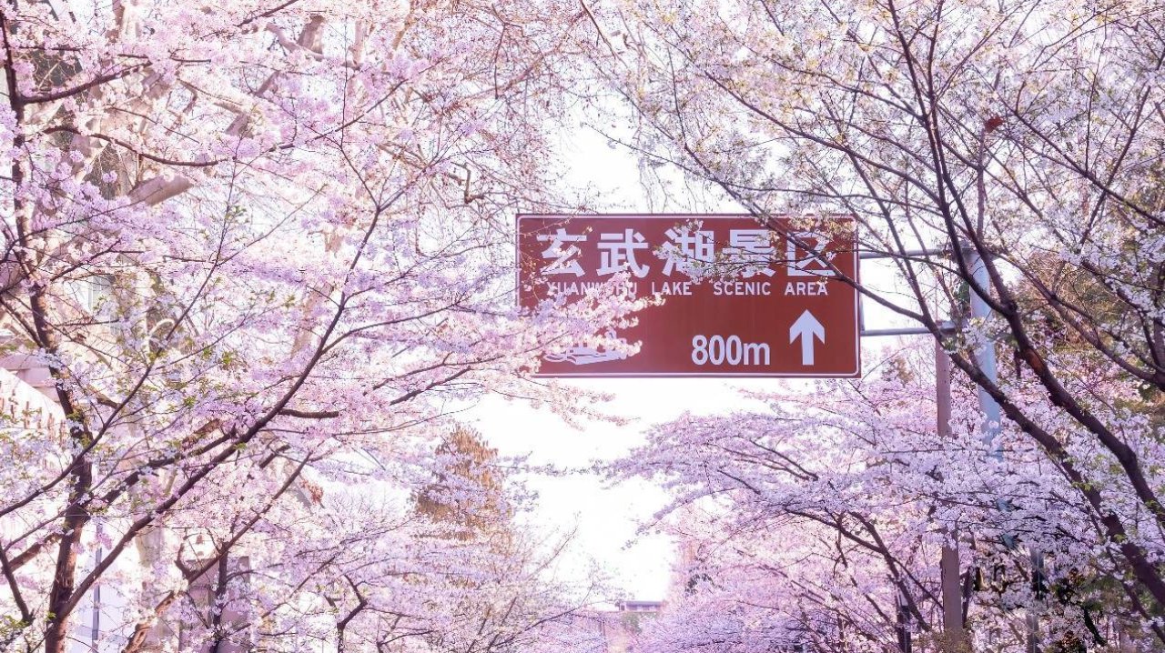 速度与激情邂逅小确幸，万悦会春日三重礼遇赋能花漾旅程