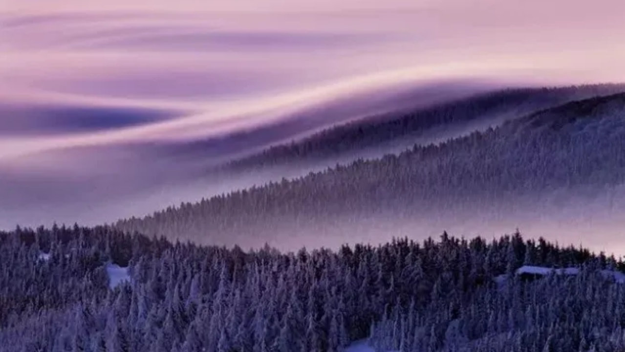 原创|陈数：人与人之间，如果有长久舒适的关系，靠的是同频和吸引