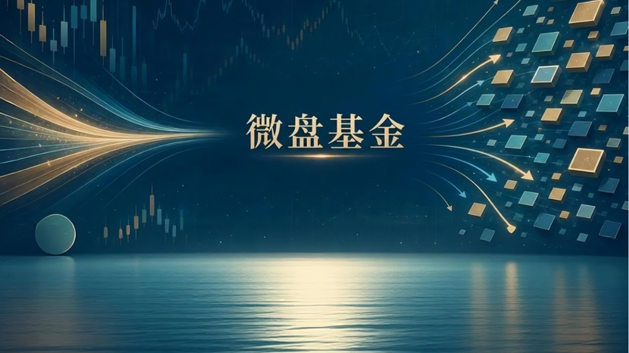 微盘基金策略失灵：去年赚40%，今年怎么突然不香了？