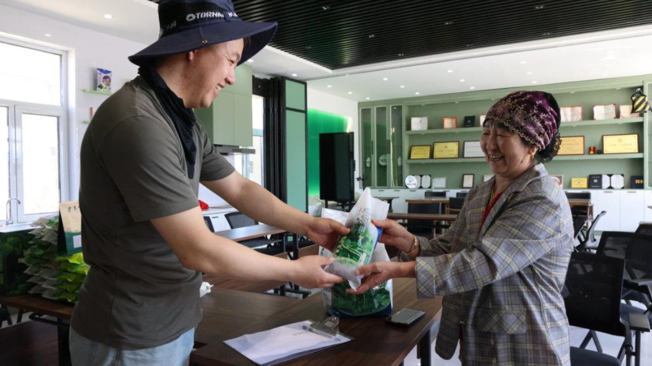小豆角串起联农带农致富链 内蒙古科右中旗小产业撑起乡村振兴大文章