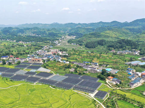 2023年全面推进乡村振兴，贵州这样干……|乡村|推进|农业|以工代赈|振兴_新浪新闻