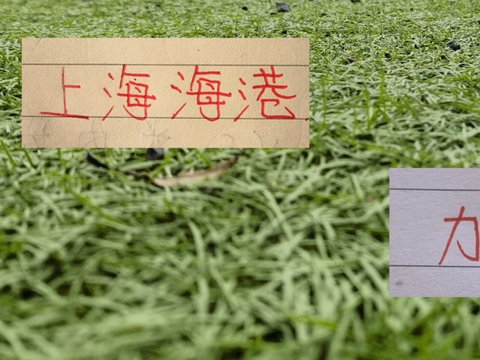 足协杯8强 CCTV5直播两场 ！