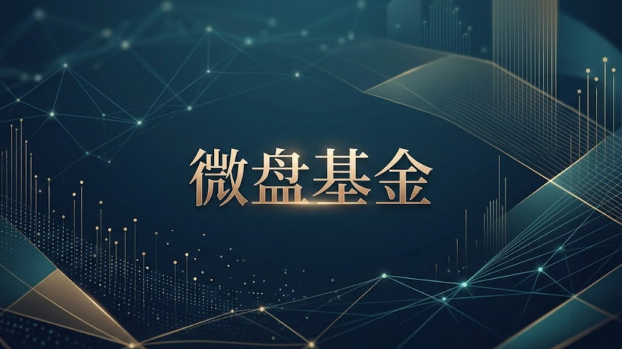 反弹超25%，微盘基金这次赚的是什么钱？