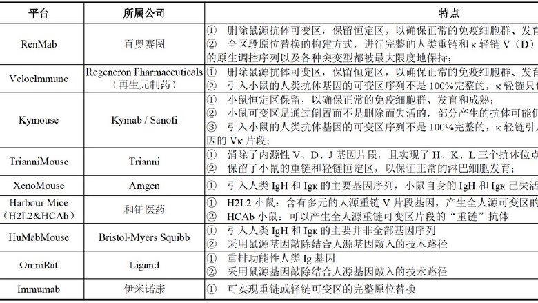 从“哪吒”到“姜子牙”：百奥赛图如何改写全球抗体小鼠江湖？
