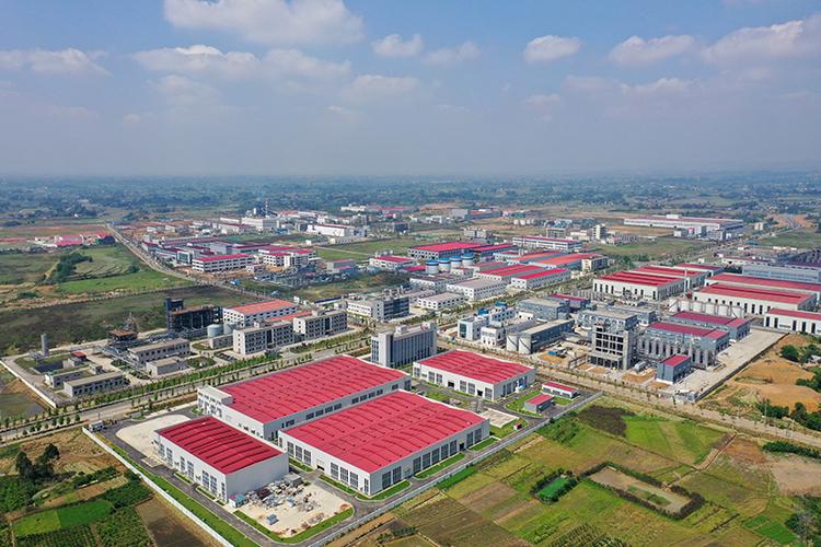 据报道：彭山青龙镇卖批一条街实测   避坑指南与深度解析