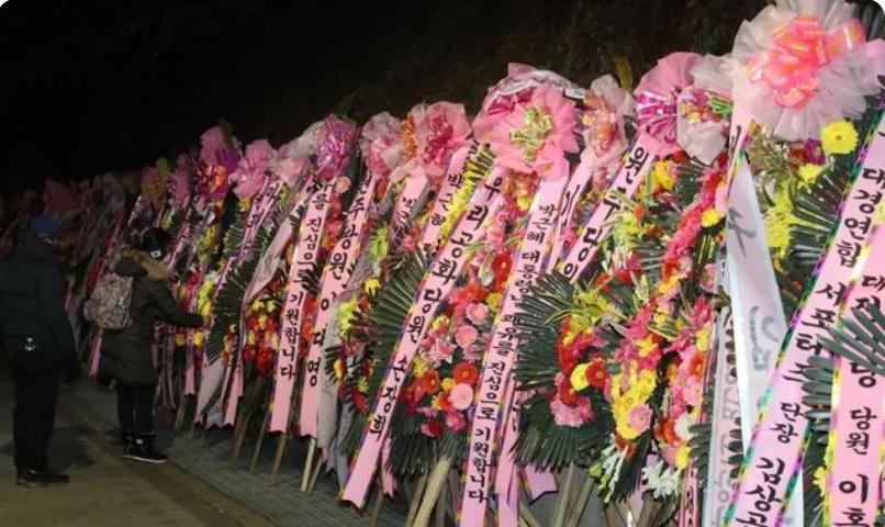 朴槿惠刚出狱，青瓦台警卫突然到来，律师向全<a href=