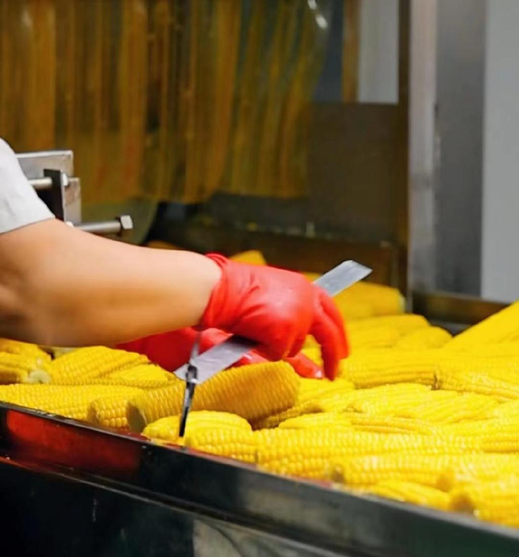 东方甄选被供应商上了一课?6块钱的玉米,供应商卖3.6元休闲区蓝鸢梦想 - Www.slyday.coM 东方甄选被供应商上了一课?6块钱的玉米,供应商卖3.6元休闲区蓝鸢梦想 - Www.slyday.coM