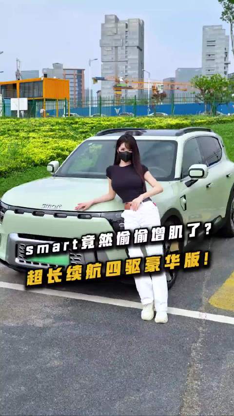 smart的大四驱豪华版都这样了