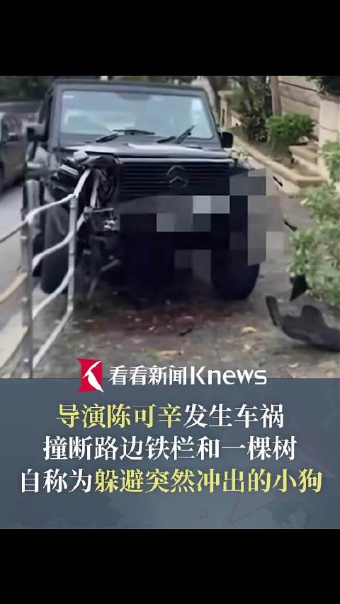 导演陈可辛称为躲狗发生车祸  撞断路边铁栏
