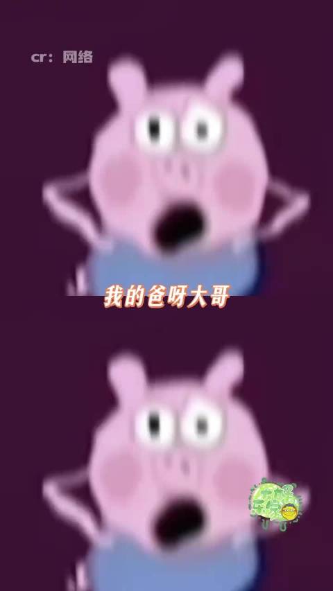 郑恺你的权威，我后知后觉