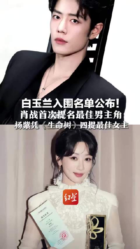 白玉兰奖入围名单揭晓，肖战首获男主提名杨紫四提女主