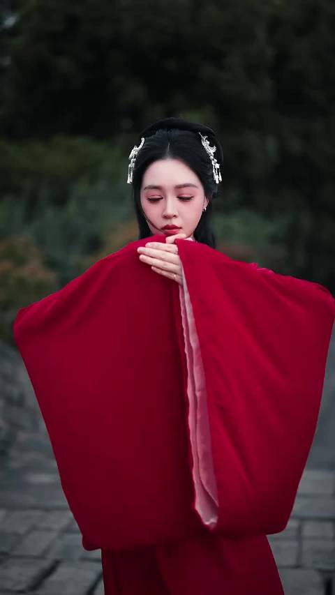 力拔山兮气盖世，一舞遮面是虞姬