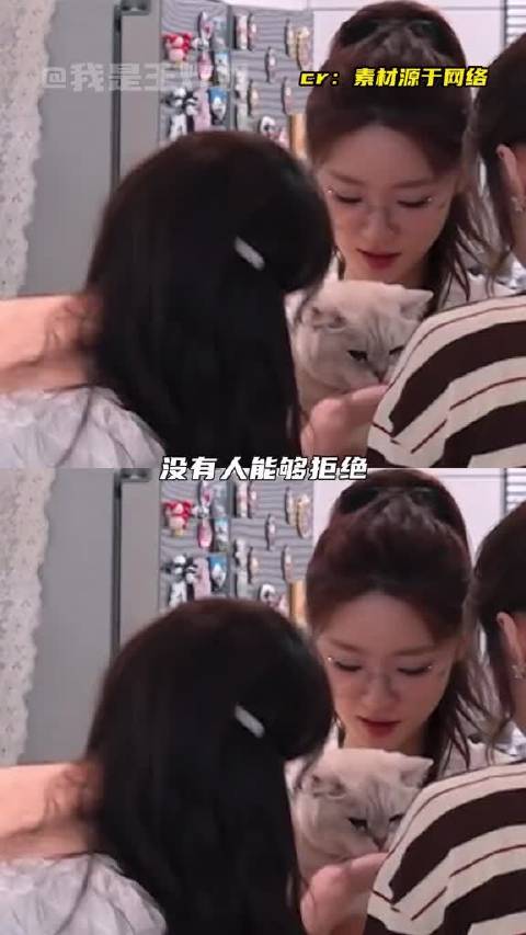 姐姐们都很喜欢小呼