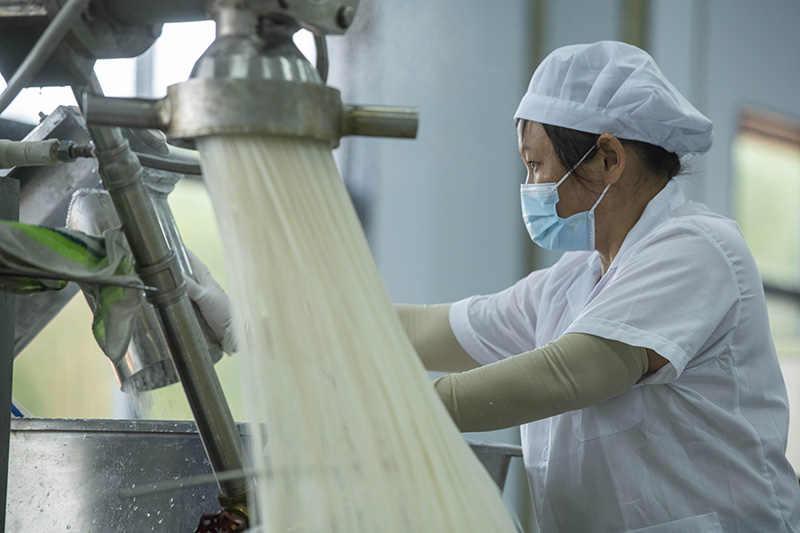 广西苍梧：特色米粉产业 赋能村级集体经济