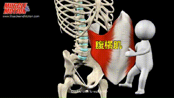 快停!产后腹直肌分离,这样锻炼更严重