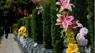 “人生大事”业务遇冷！福寿园上市13年首亏，墓地均价腰斩