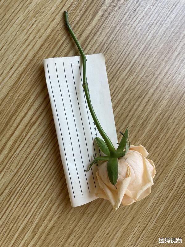 小学生用雨衣遮挡为老师送午饭:“没有雨,我用雨衣护着呢”休闲区蓝鸢梦想 - Www.slyday.coM 小学生用雨衣遮挡为老师送午饭:“没有雨,我用雨衣护着呢”休闲区蓝鸢梦想 - Www.slyday.coM