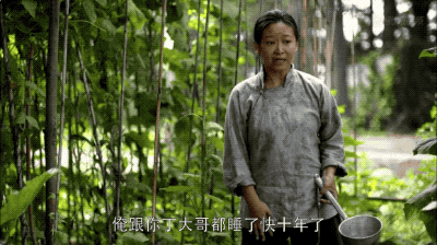 表面是演员，实际是大学老师的6位明星，他们的学生占半个娱乐圈休闲区蓝鸢梦想 - Www.slyday.coM