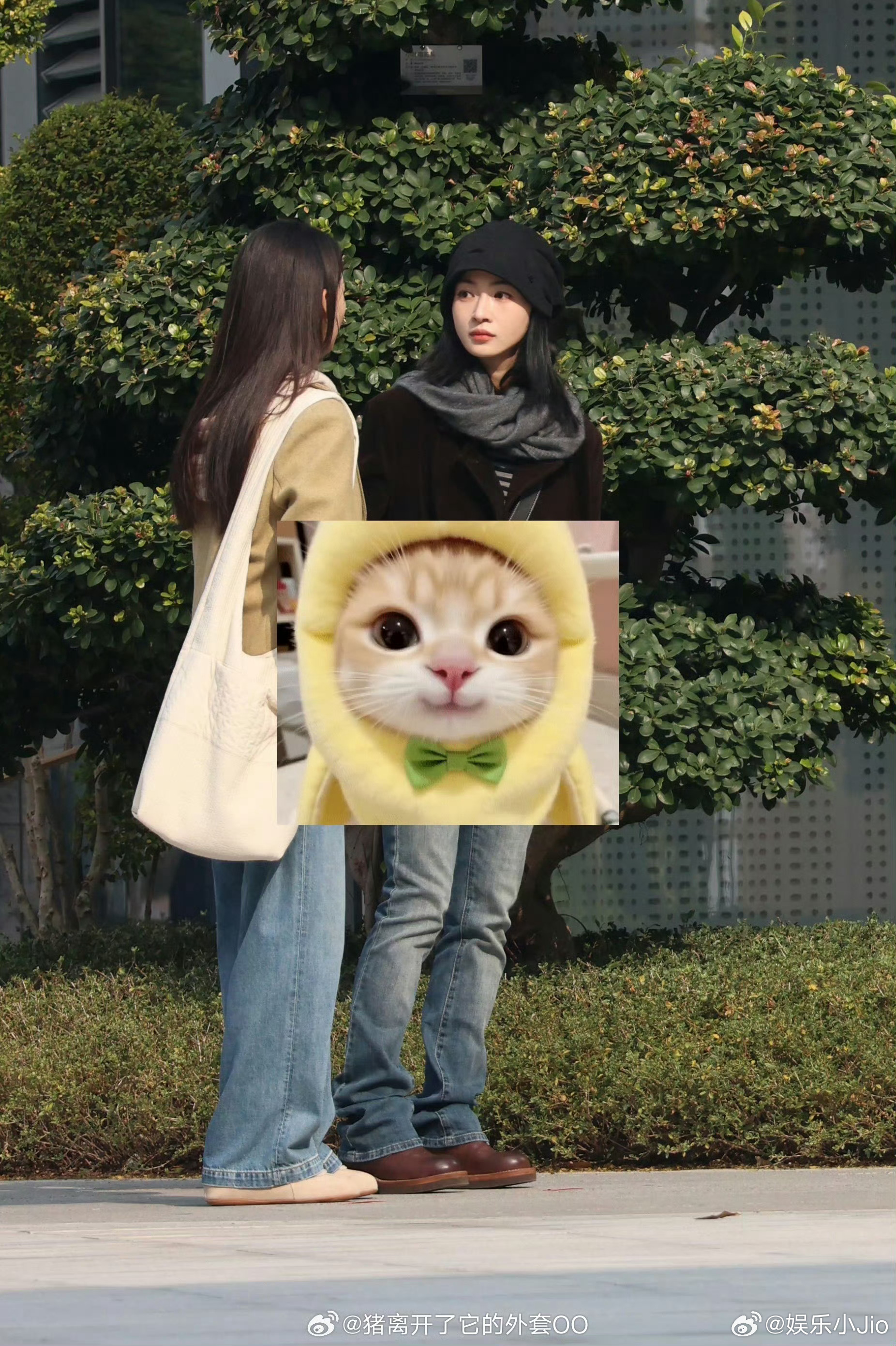 吴谨言《重生之门·源起》开机首日冷帽灰围巾造型曝光