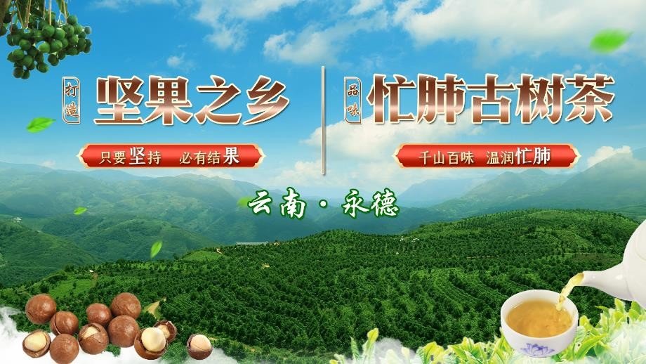 重磅！永德“澳洲坚果 忙肺古树茶” 强势登陆央视