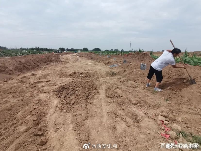 陕西渭南经开区：占用耕地建陵园 “死人”和活人争地(图4)