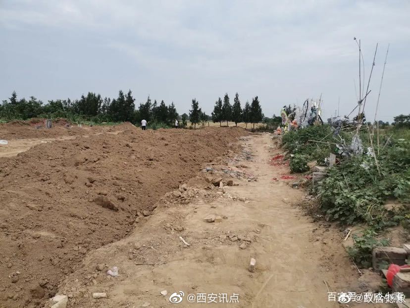 陕西渭南经开区：占用耕地建陵园 “死人”和活人争地(图6)