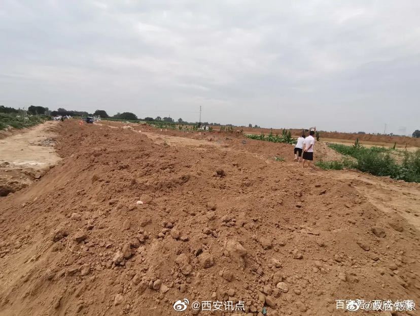 陕西渭南经开区：占用耕地建陵园 “死人”和活人争地(图3)