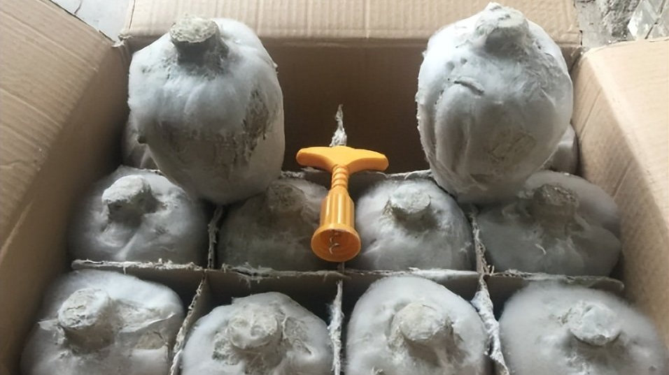 仿牌国际小包 外贸仿牌的出路有哪些