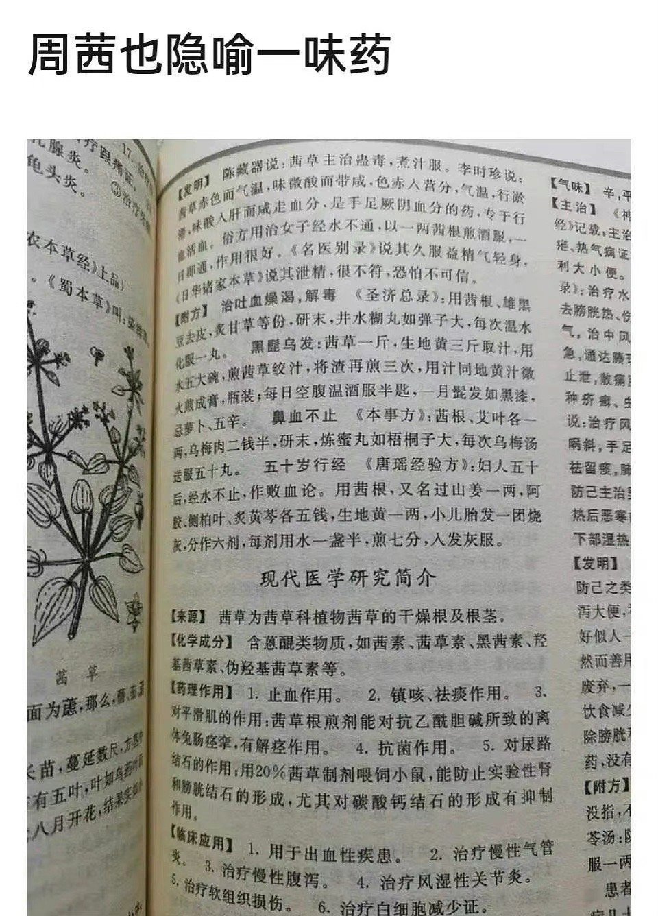 风吹半夏:角色名字注定了结局,原著《不得往生》还有另一层含义休闲区蓝鸢梦想 - Www.slyday.coM 风吹半夏:角色名字注定了结局,原著《不得往生》还有另一层含义休闲区蓝鸢梦想 - Www.slyday.coM