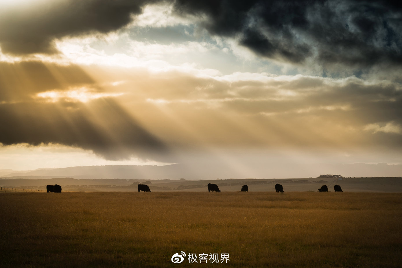 马云、马斯克全息空降人工智能大会,双马谈及AI将改变未来!