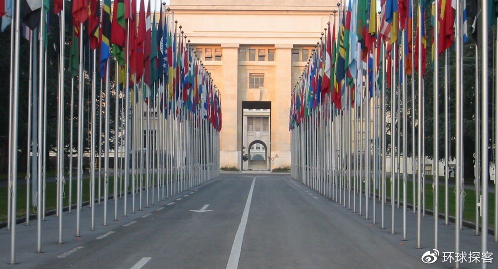 欺软怕硬！<a href=