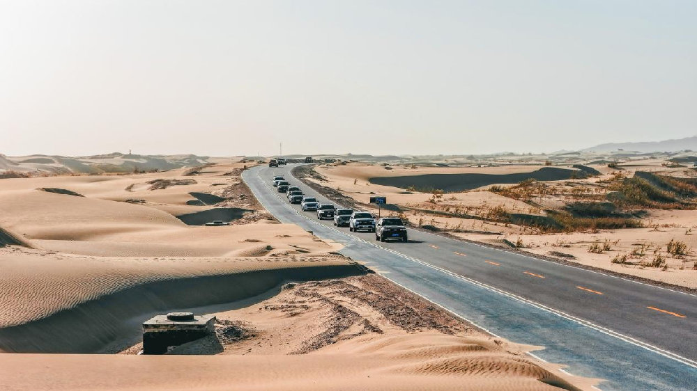 长安福特构筑“绿色长城”，企业治沙能否成范式