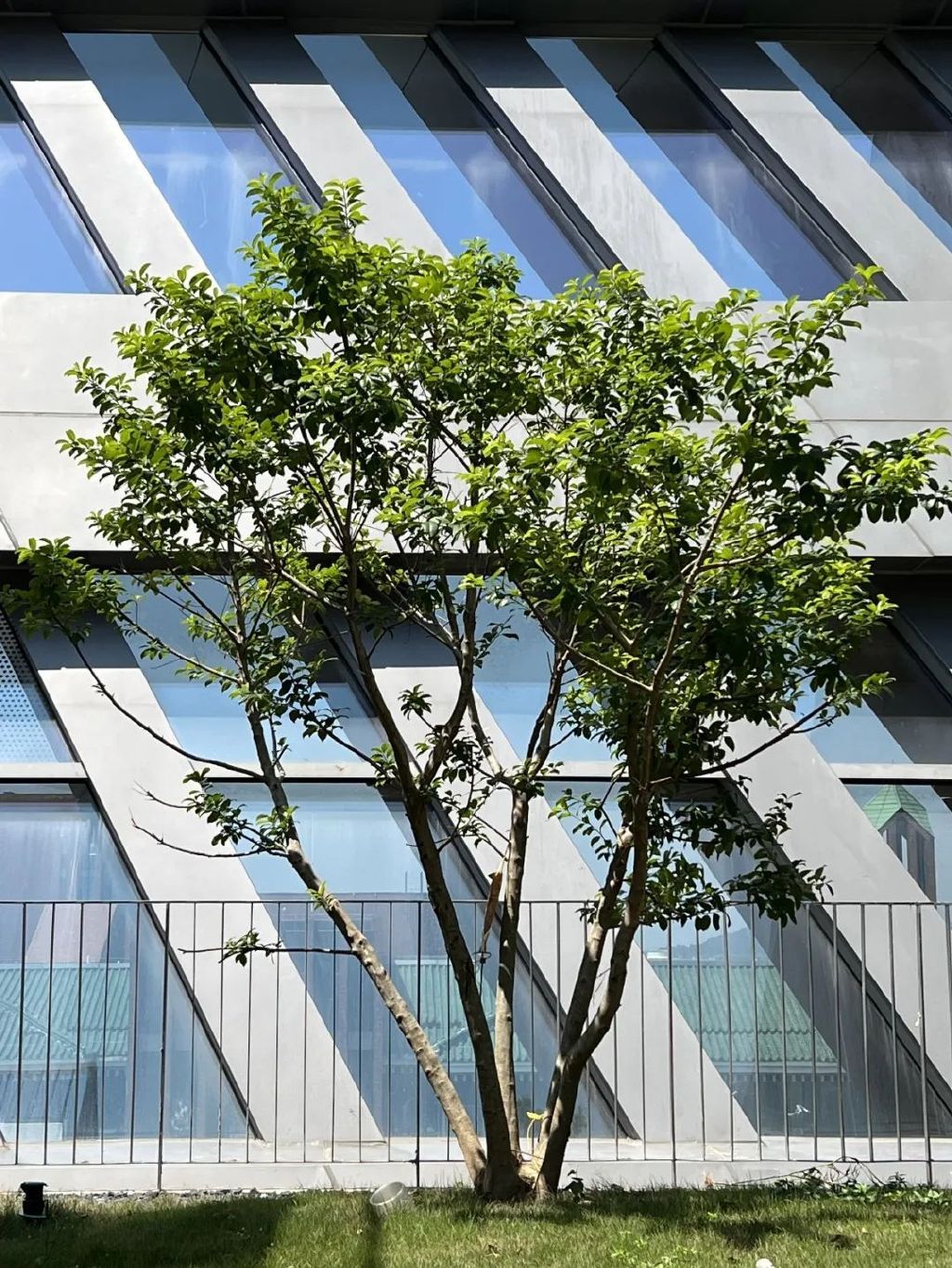 派月饼、送酸奶、还有空中阅览室……这些大学就在广州!休闲区蓝鸢梦想 - Www.slyday.coM 派月饼、送酸奶、还有空中阅览室……这些大学就在广州!休闲区蓝鸢梦想 - Www.slyday.coM