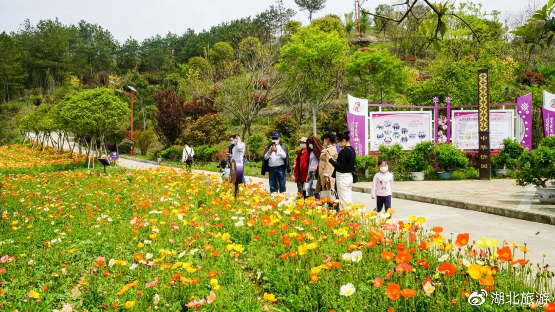 按下回暖"启动键,四季花海春日旅游正当时