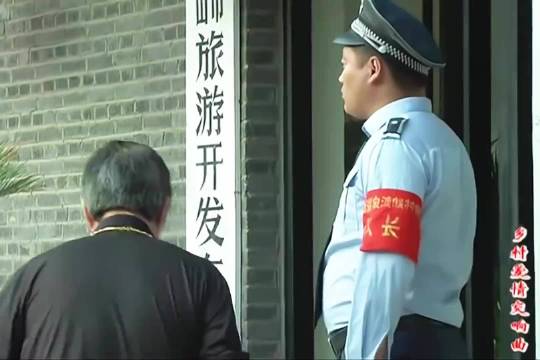 王大拿 宋晓峰