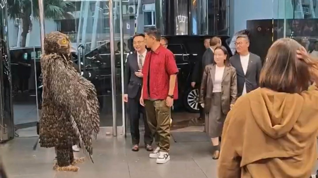 古天乐提车偶遇两只雕，与神雕同框引回忆杀