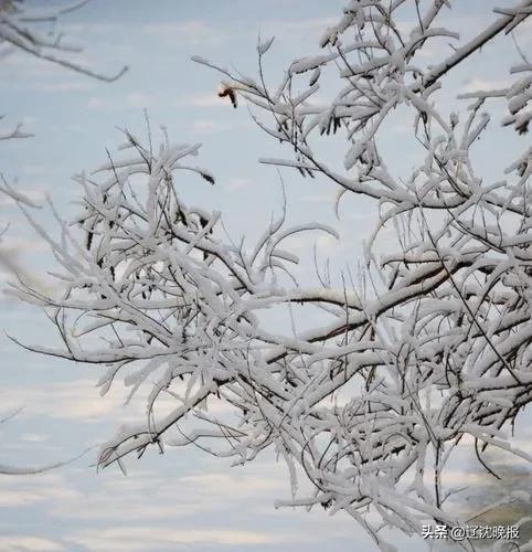 元宵节辽宁天气晴冷,早间最低气温跌至休闲区蓝鸢梦想 - Www.slyday.coM 元宵节辽宁天气晴冷,早间最低气温跌至休闲区蓝鸢梦想 - Www.slyday.coM