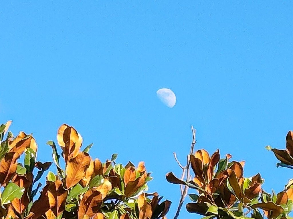 Redmi K50至尊版测评:雷总你告诉我,这不该是小米12S的直屏机吗休闲区蓝鸢梦想 - Www.slyday.coM Redmi K50至尊版测评:雷总你告诉我,这不该是小米12S的直屏机吗休闲区蓝鸢梦想 - Www.slyday.coM