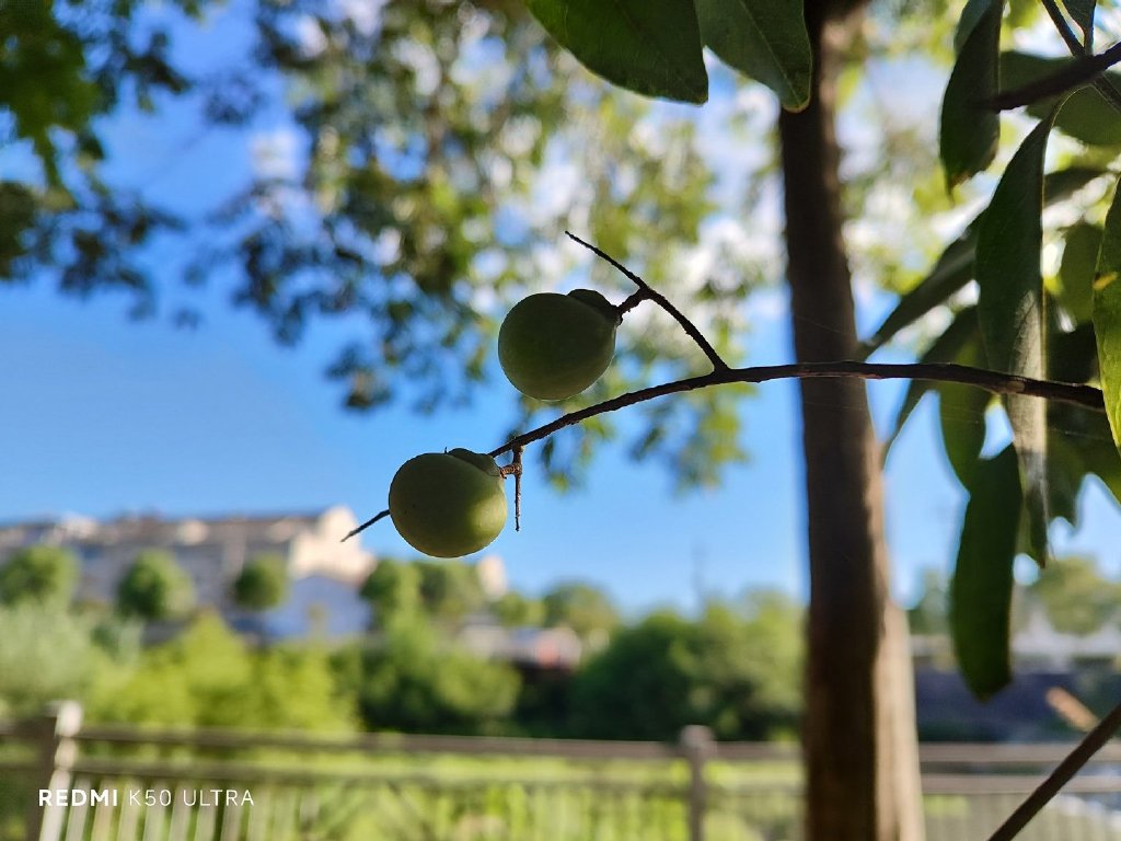 Redmi K50至尊版测评:雷总你告诉我,这不该是小米12S的直屏机吗休闲区蓝鸢梦想 - Www.slyday.coM Redmi K50至尊版测评:雷总你告诉我,这不该是小米12S的直屏机吗休闲区蓝鸢梦想 - Www.slyday.coM