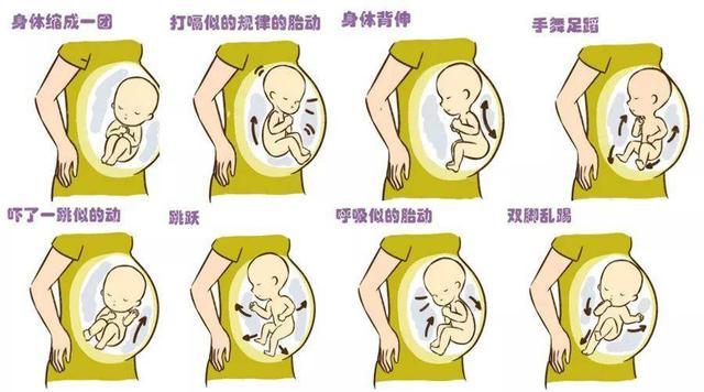什么样的胎动是好胎动通过胎动辨异常的本领孕晚期的你请查收