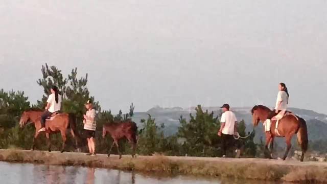 往事越千年，魏武挥鞭，东临碣石有遗篇