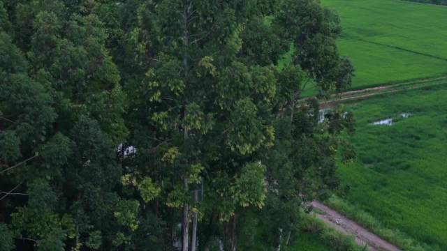 “净”观其变：一汽奥迪Q6L e-tron以“清晰视界”引领绿马