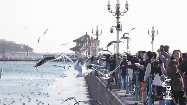 【二十四节气·冬至】候鸟翩跹生态美