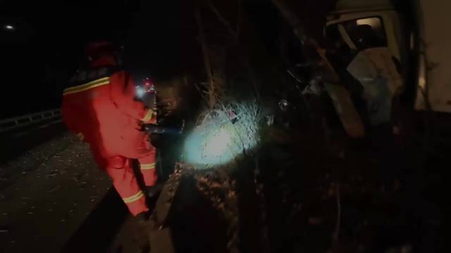果然视频|深夜一货车失控撞树，消防员及时到场救援