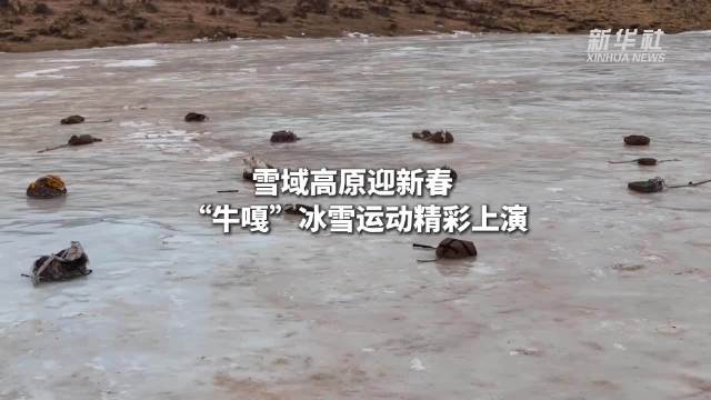 雪域高原迎新春  “牛嘎”冰雪运动精彩上演